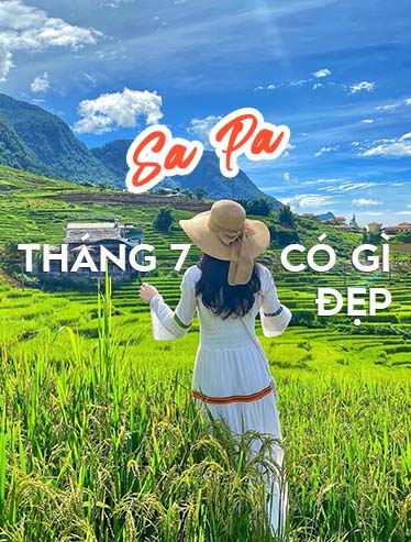 KHÁM PHÁ SAPA THÁNG 7 – MÙA VÀNG CỦA NÚI RỪNG TÂY BẮC
