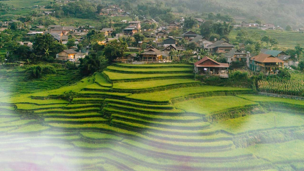 Tả Van buổi sớm