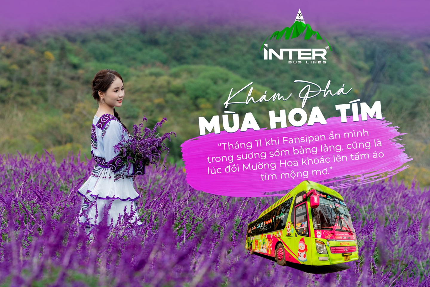 Tháng 11, Đồi Mường Hoa gọi mùa hoa tím về.