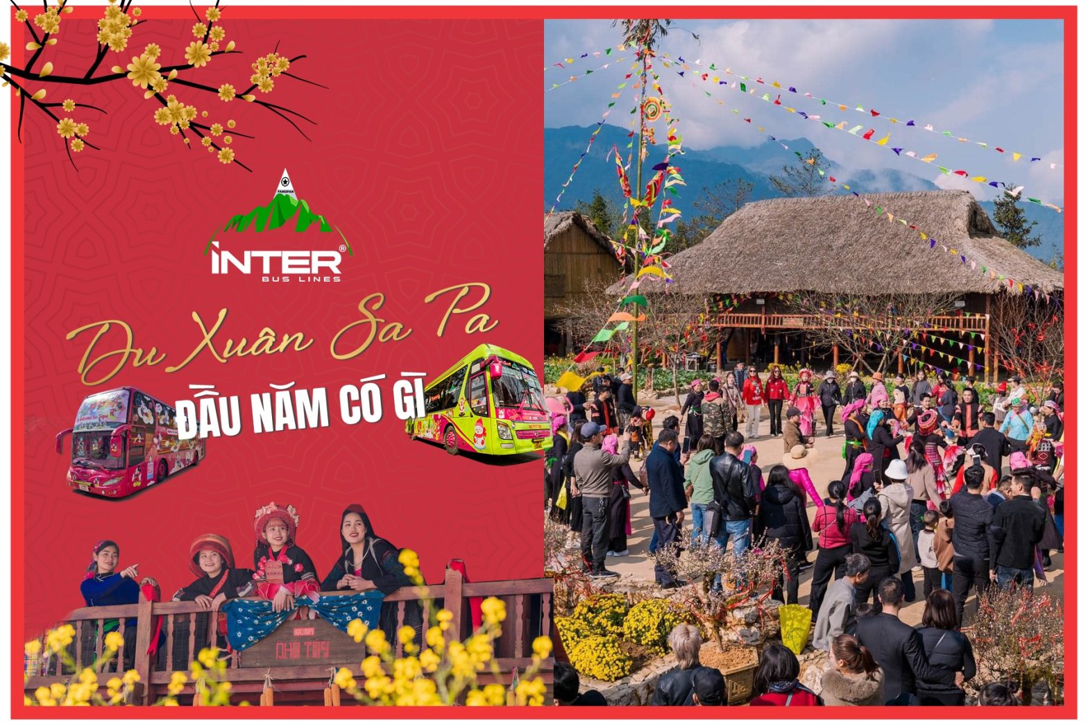 Du xuân miền Bắc 2026: Từ sắc hoa Hà Nội đến đỉnh thiêng Fansipan và hội biển Hạ Long