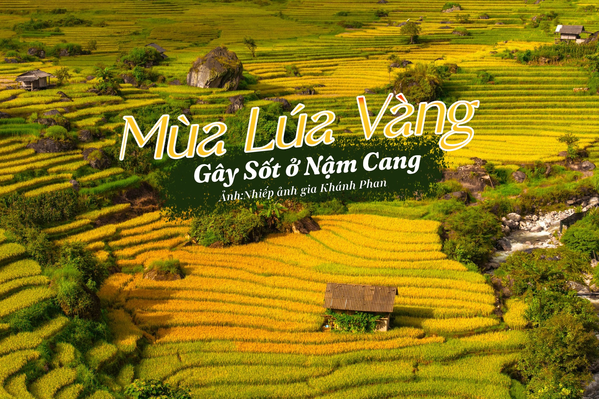 Mùa lúa vàng rực gây ‘sốt’ ở Nậm Cang nhìn từ trên cao