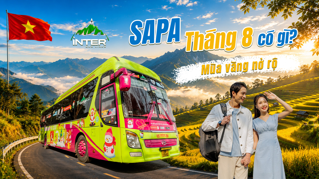 Sapa Tháng 8 Có Gì? Mùa Lúa Chín, Thời Tiết & Ưu Đãi Vé Xe 200K