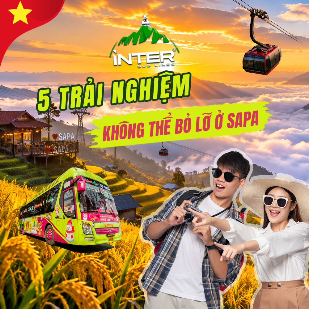 5 Trải Nghiệm Du Lịch Sapa Mùa Vàng 2026: Săn Mây, Phở Cốn Sủi & Xe Đi Sapa Inter Bus Lines